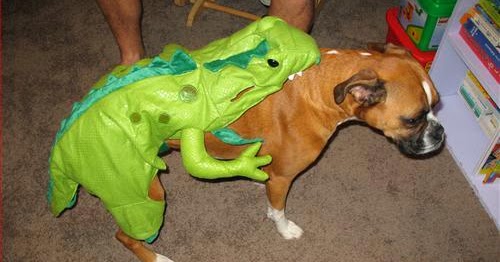 20 Jaw Dropping Halloween Costumes for the Whole Family (WARNING: Post Rated: W.T.H.)